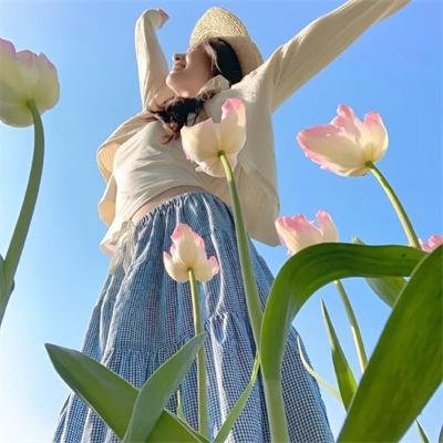 圣堂佳音海报