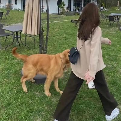 疯狂状态海报